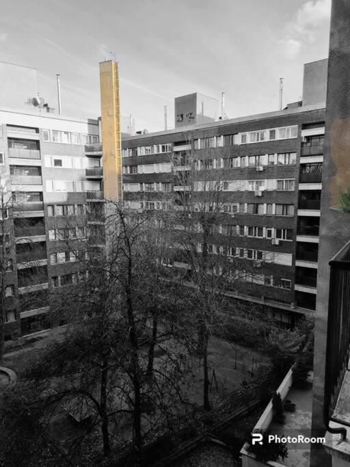 Апартаменты Danube Dwelling Asboth 19-2 Будапешт Экстерьер фото